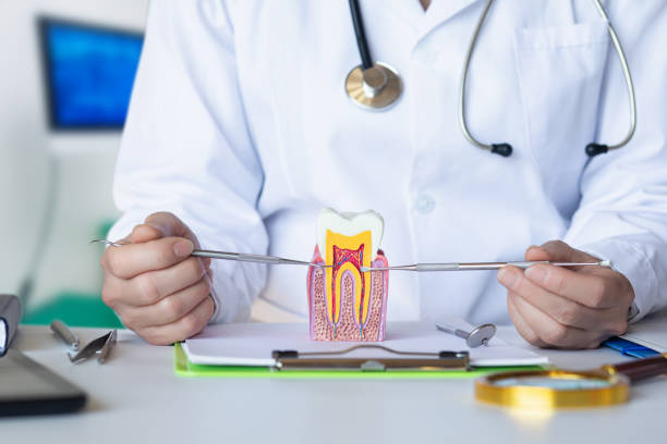 Best Weekend Emergency Dental Services in Stony Point, NC